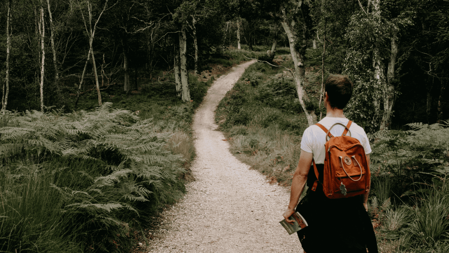 establishing clear discipleship path