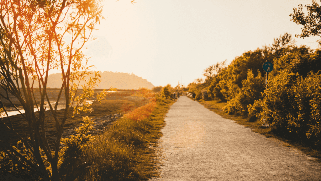 why your discipleship path is more important than ever (and the strategic steps that we’ve found work well)